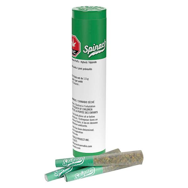 Spinach - Frosted Cream Puffs Pre Roll