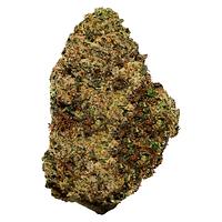 Well Made - Mac Daddy Purpz