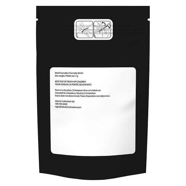 3rd Coast Genetics - Frozen Cola image 3