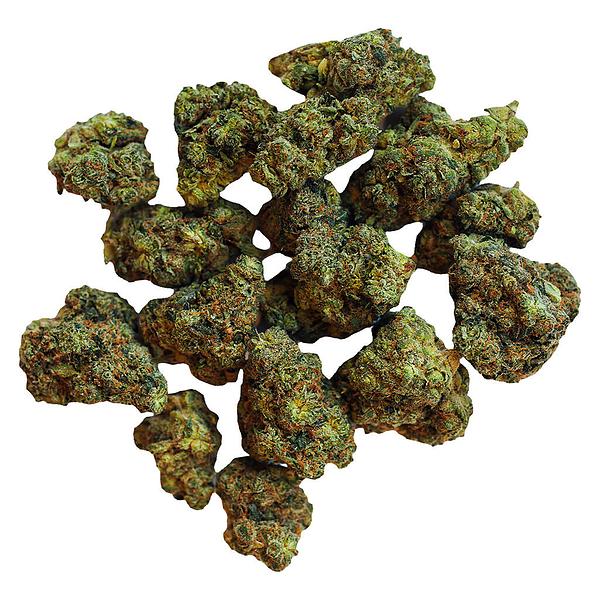 BOLD - Root Beer Float