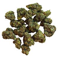 BOLD - Root Beer Float