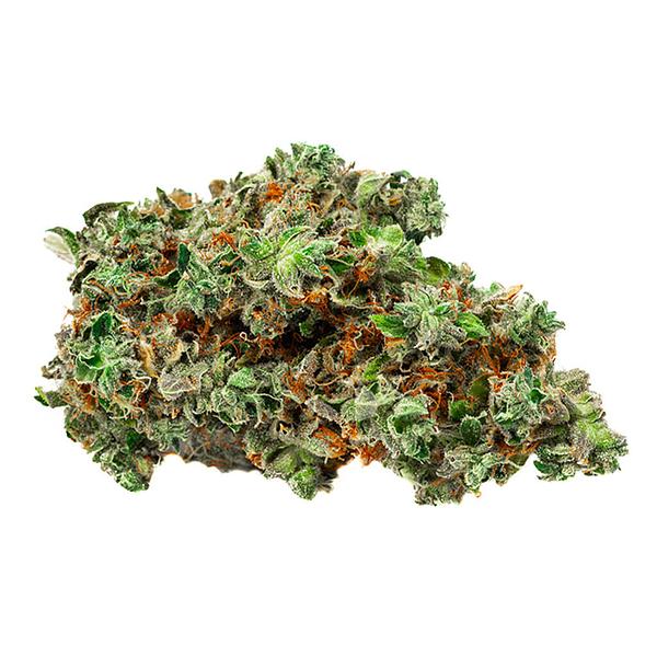 BOLD - Root Beer Float