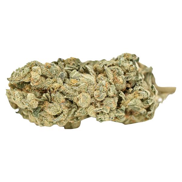 Weed Me - Blue Iguana