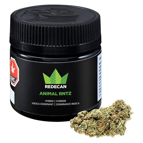 Redecan - Animal Rntz