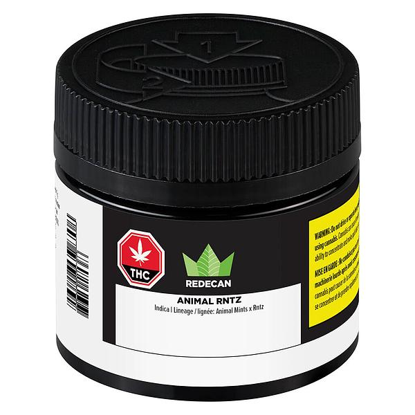 Redecan - Animal Rntz