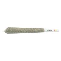 1Spliff - Spliff Caddy Pre Roll