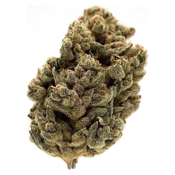 MTL Cannabis - Jungl' Cake