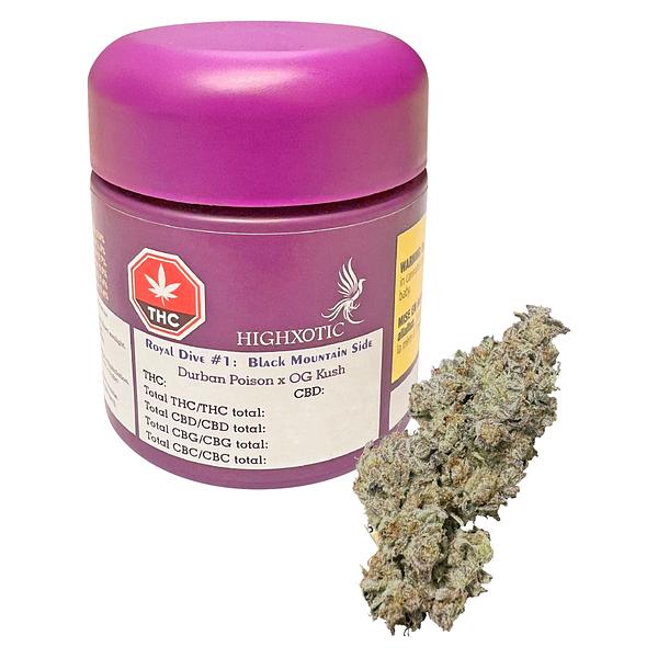 High Xotic - Royal Dive #1: Black Mountain Side