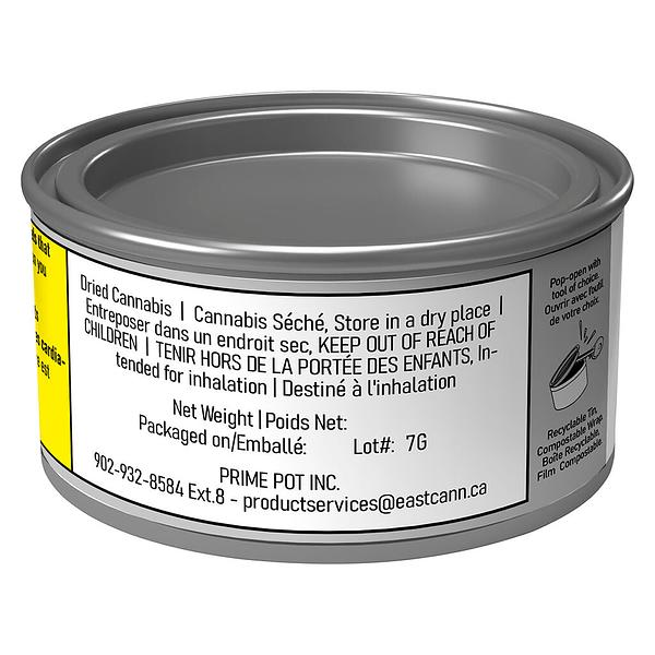 EastCann - Masterpiece image 3