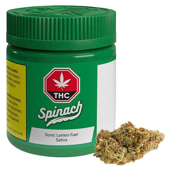 Spinach - Sonic Lemon Fuel