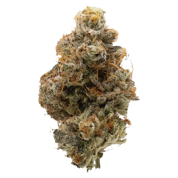 Northern Canna - Atomic Marker image 1