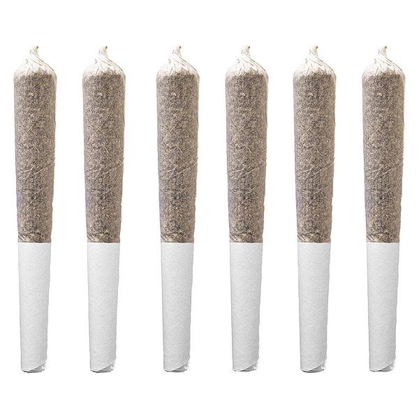 Station House - Northern Lights Pre Roll