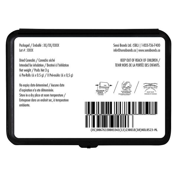 Station House - Northern Lights Pre Roll