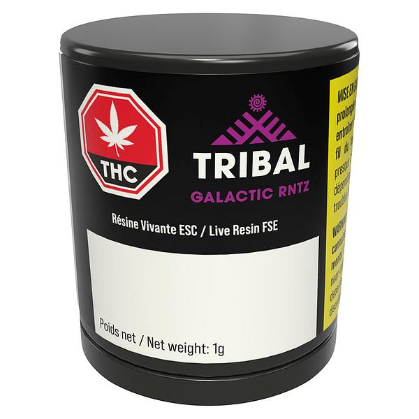 Tribal - Galactic Rntz Fse