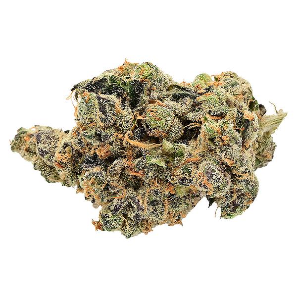 Next Friday - Research Institute