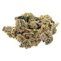 Next Friday - Research Institute