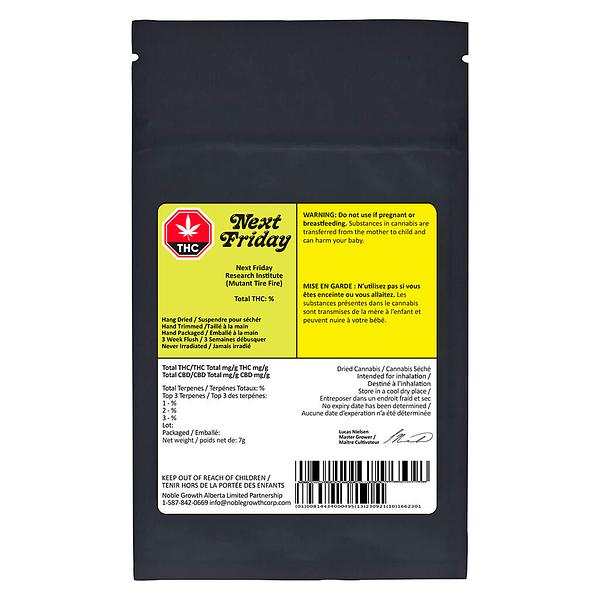 Next Friday - Research Institute