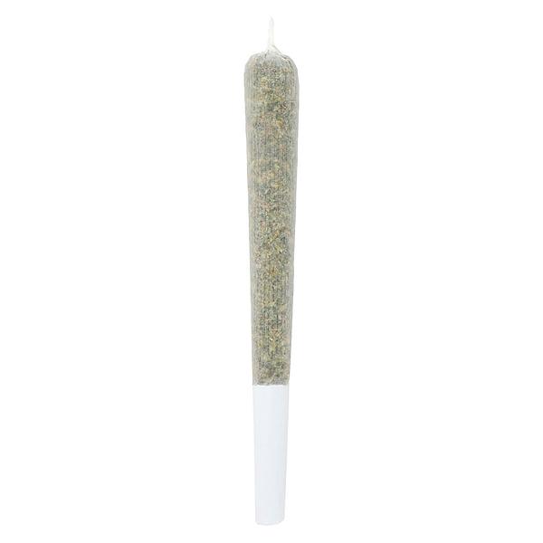 Lamplighter - Tiger Berry Infused Pre Roll