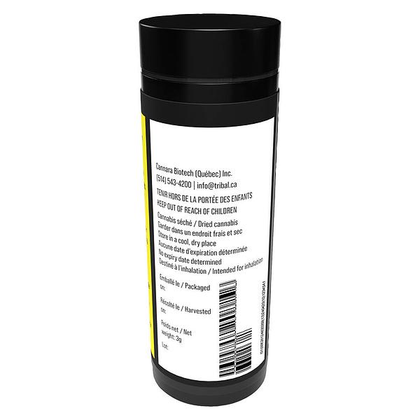 Tribal - Triple Burger Pre Roll