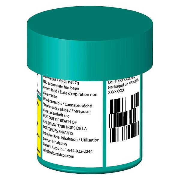 Coterie - Blue Ztarburzt image 3