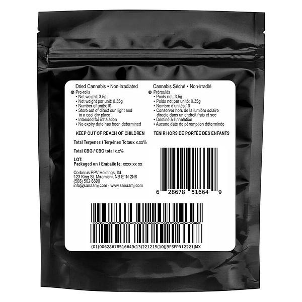 Sana'a - Florida Sunrise Pre Roll