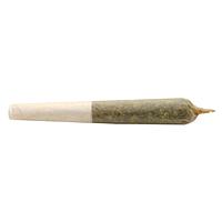 Buddy Blooms - Lil Buddy Sativa Pre Roll