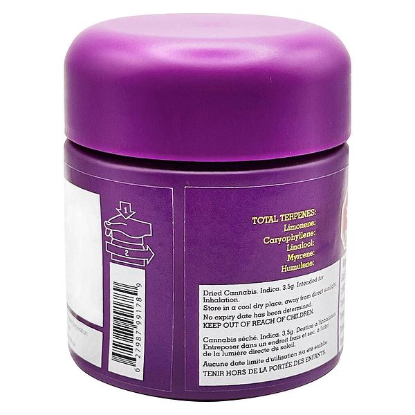 High Xotic - Royal Dive #2