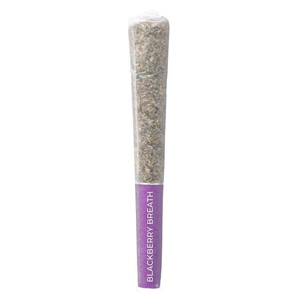 Pistol and Paris - Blackberry Breath Pre Roll