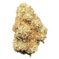 Bobs Better Buds - Rntz Muffin #4