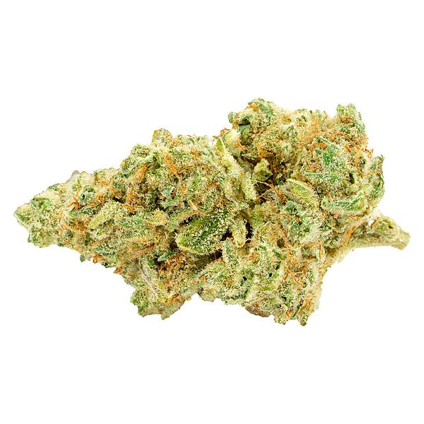 Bobs Better Buds - Animal Face #10