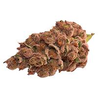 Thumbs Up - Day & Night