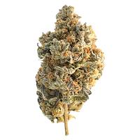 Encore - Hybrid Greatest Hits Vol. 1