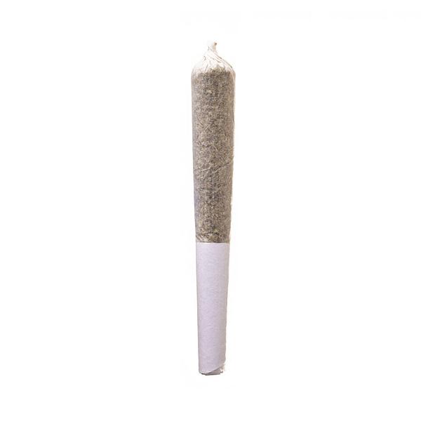 Sensi Mila - Apple Kush Infused Pre Roll