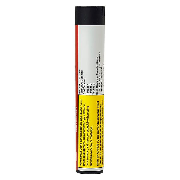 BOLD - Root Beer Float Blunt