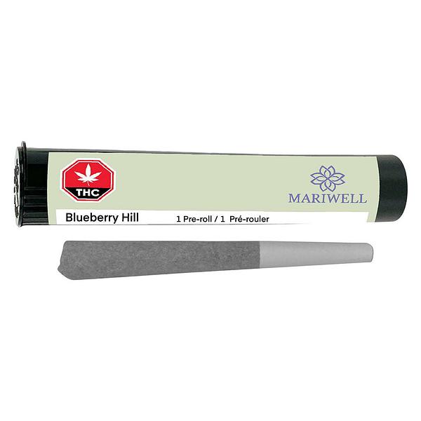 Mariwell - Blueberry Hill Pre Roll