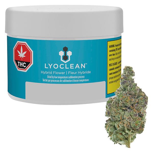 Lyoclean - Sublimed Flower