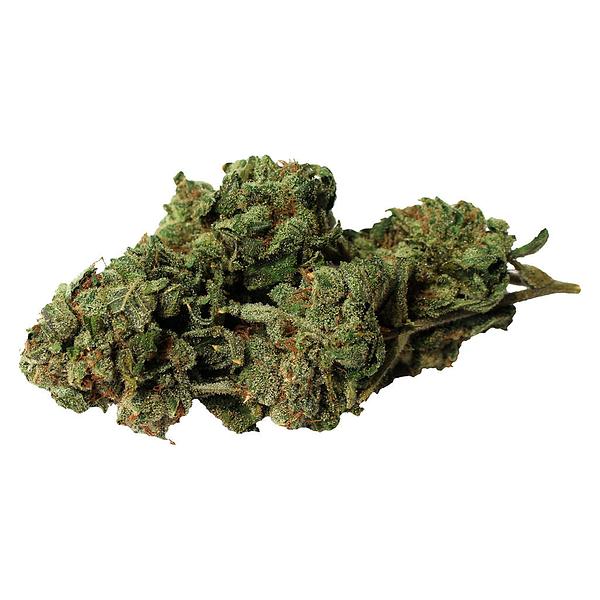 Bambu Select - Double Donny