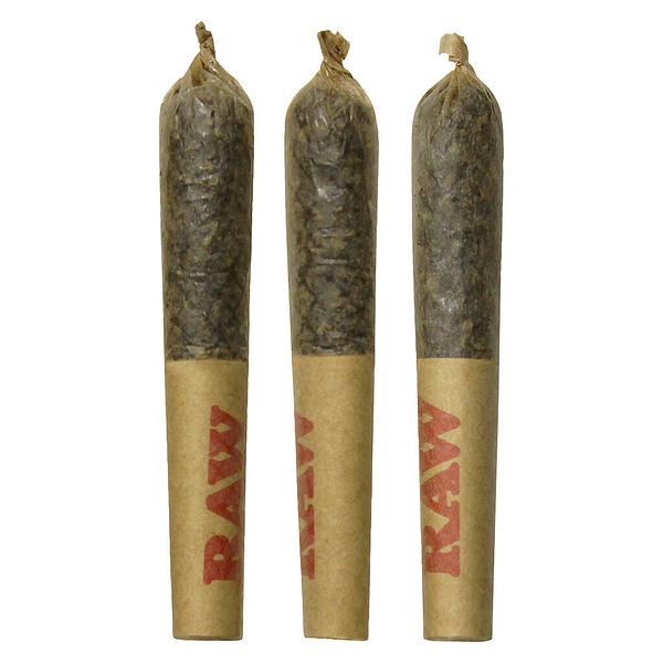 Dab Bods - Baja Banana Disti Joints