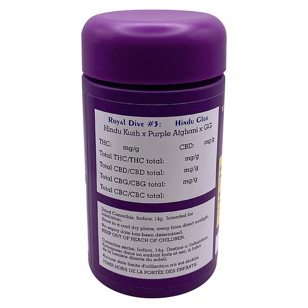 HighXotic - Royal Dive #3: Hindu Glue