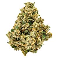 Cheers Cannabis - Strawberry Grail