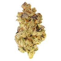 5 Points Cannabis - Mosa Orange Punch