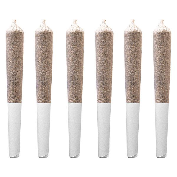 Station House - Trainwreck Pre-Roll