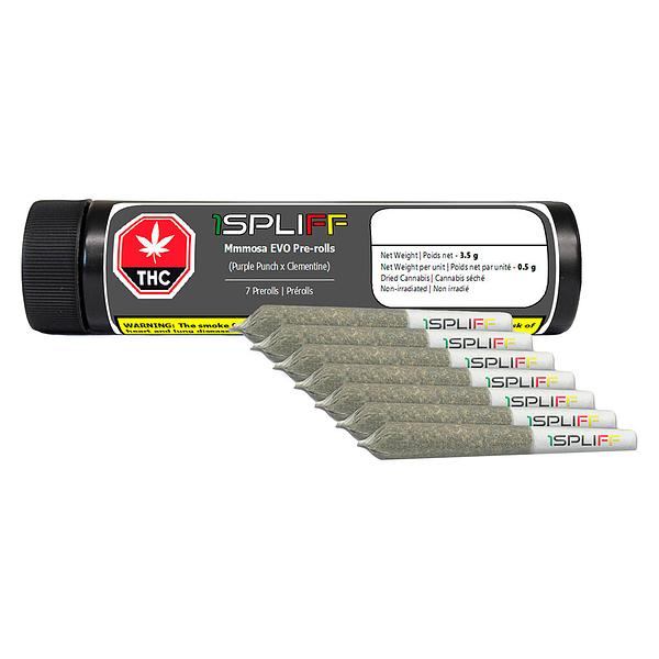 CALI - Mmmosa Evo Pre-Roll