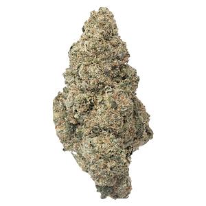 Crooked Dory - AAA+ Sativa