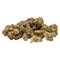 TADU - GovernMint Oasis2