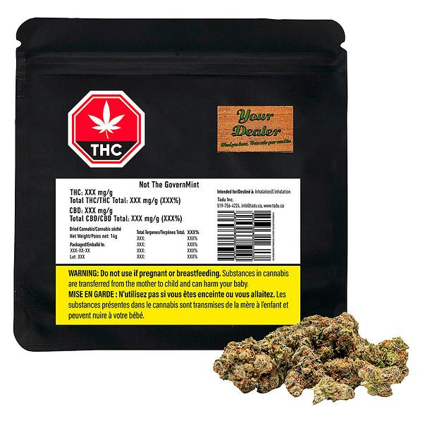 TADU - GovernMint Oasis2