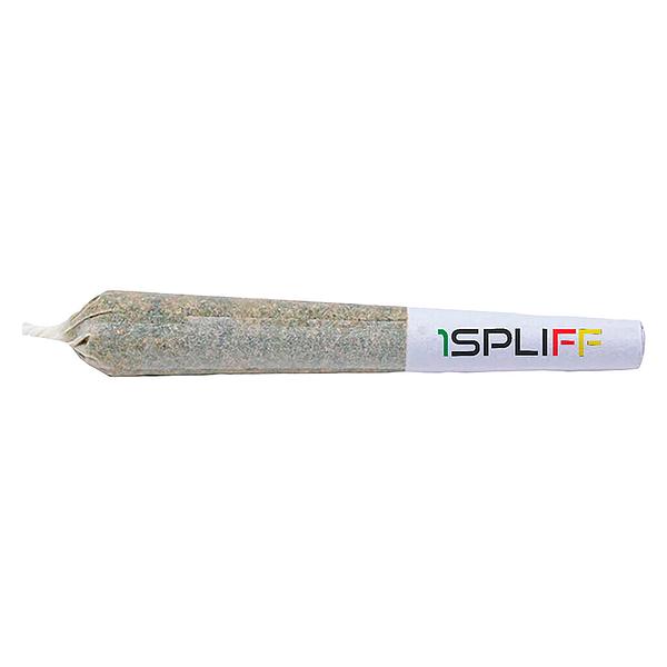 1Spliff - Caddy Mega Sampler Pack