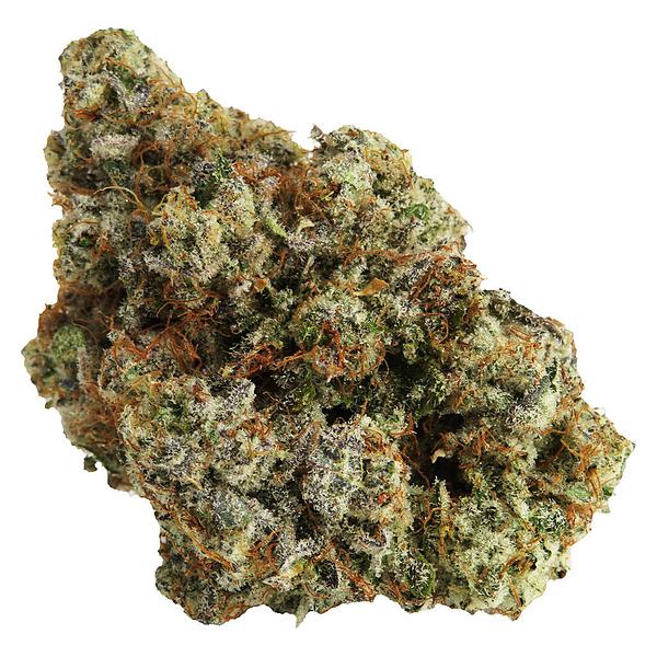 Northern Canna - Permanent Marker