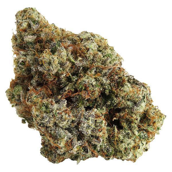 Northern Canna - Permanent Marker