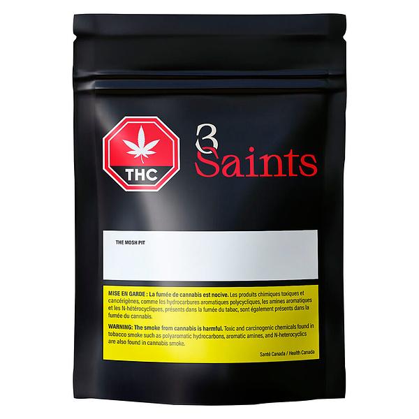 3Saints - The Mosh Pit image 2